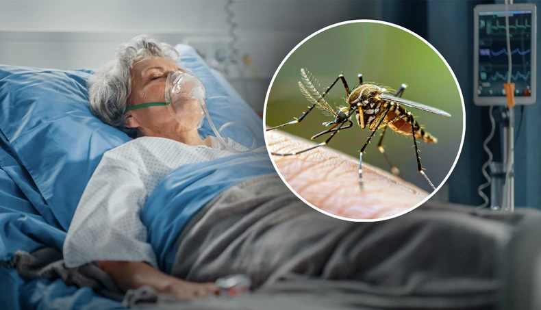 Foto: Shutterstock/ MagicBloods, Shutterstock/ Gorodenkoff / Ringier