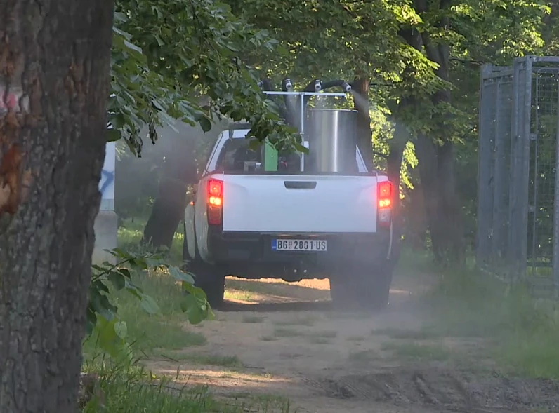 Foto: Tanjug/video