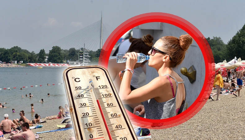 Foto: Snežana Krstić, Shutterstock / RAS Srbija