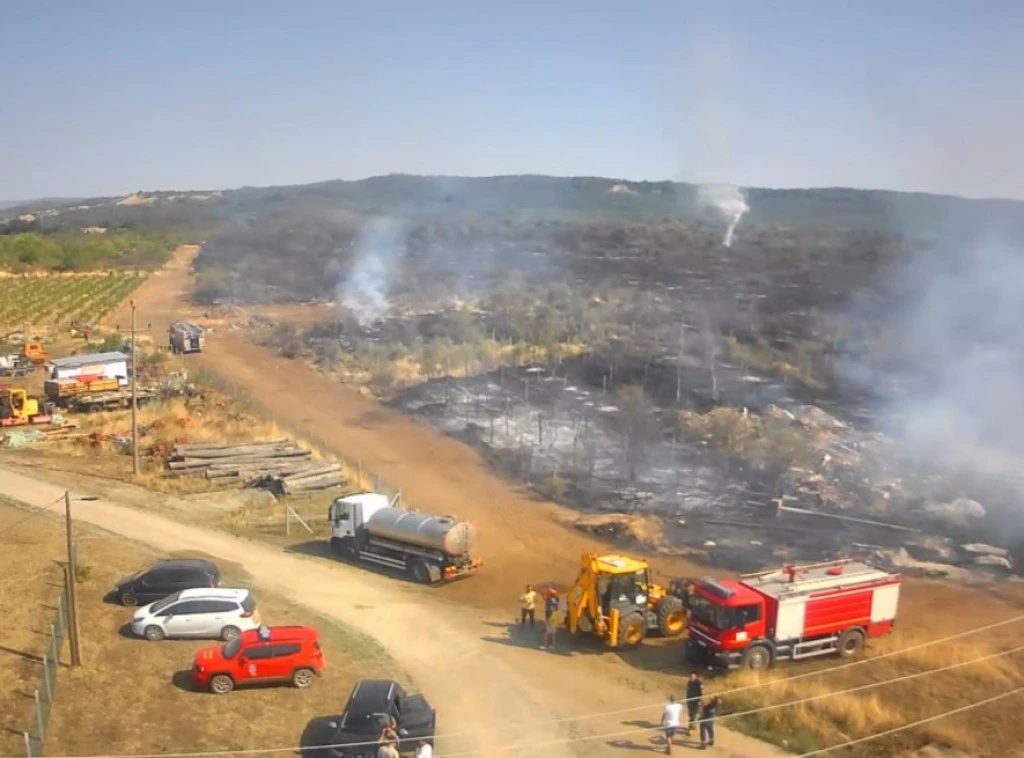 Foto: TANJUG/OMK MUP REPUBLIKE SRBIJE