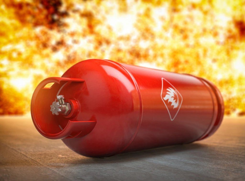 Požar u zoološkom vrtu u Rusiji, nastradalo 28 krokodila i jedna kornjača Foto: Shutterstock.com/Maxx-Studio, ilustracija