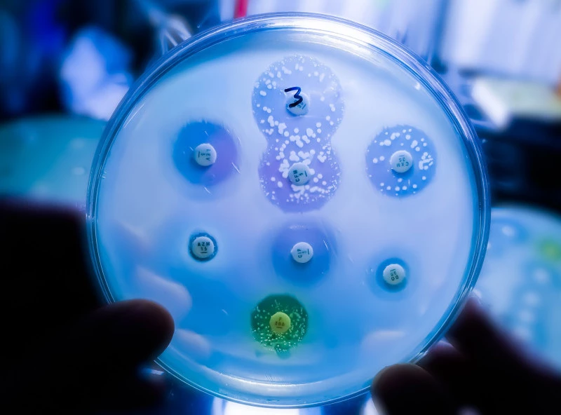 Batut: Do 5. oktobra registrovana 62 slučaja obolevanja od groznice Zapadnog Nila Foto: Shutterstock.com/Saiful52, ilustracija