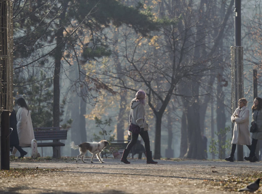 Foto: TANJUG/STRAHINJA AĆIMOVIĆ
