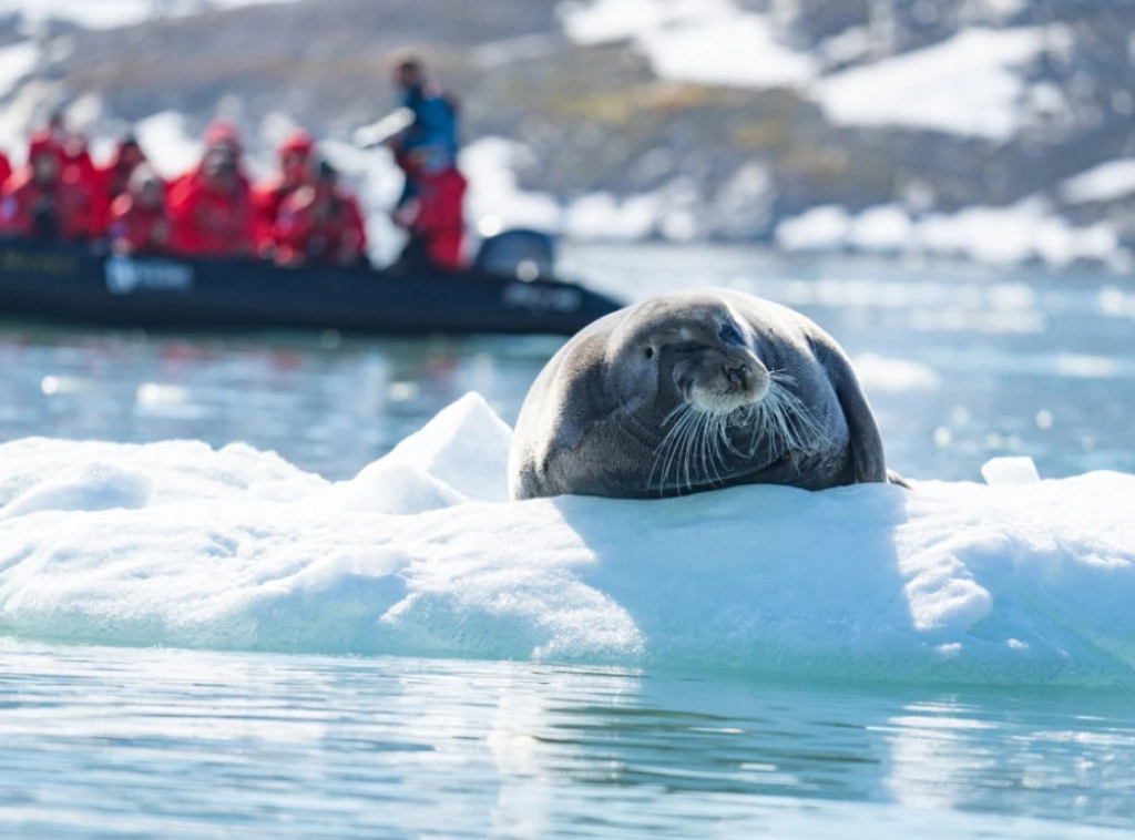 SAD: Talas hladnoće sa Arktika mogao bi da obori temperaturne rekorde s kraja 19. veka Foto: Shutterstock.com/Angela N Perryman, ilustracija