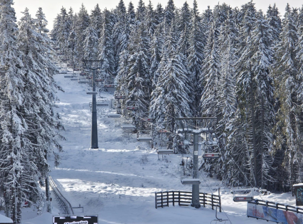 Foto: TANJUG/Aleksandar Nićiforović