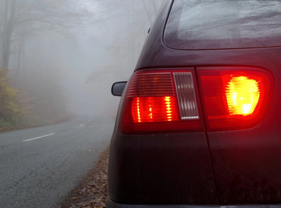 Foto: Shutterstock.com/Milje Ivan, ilustracija