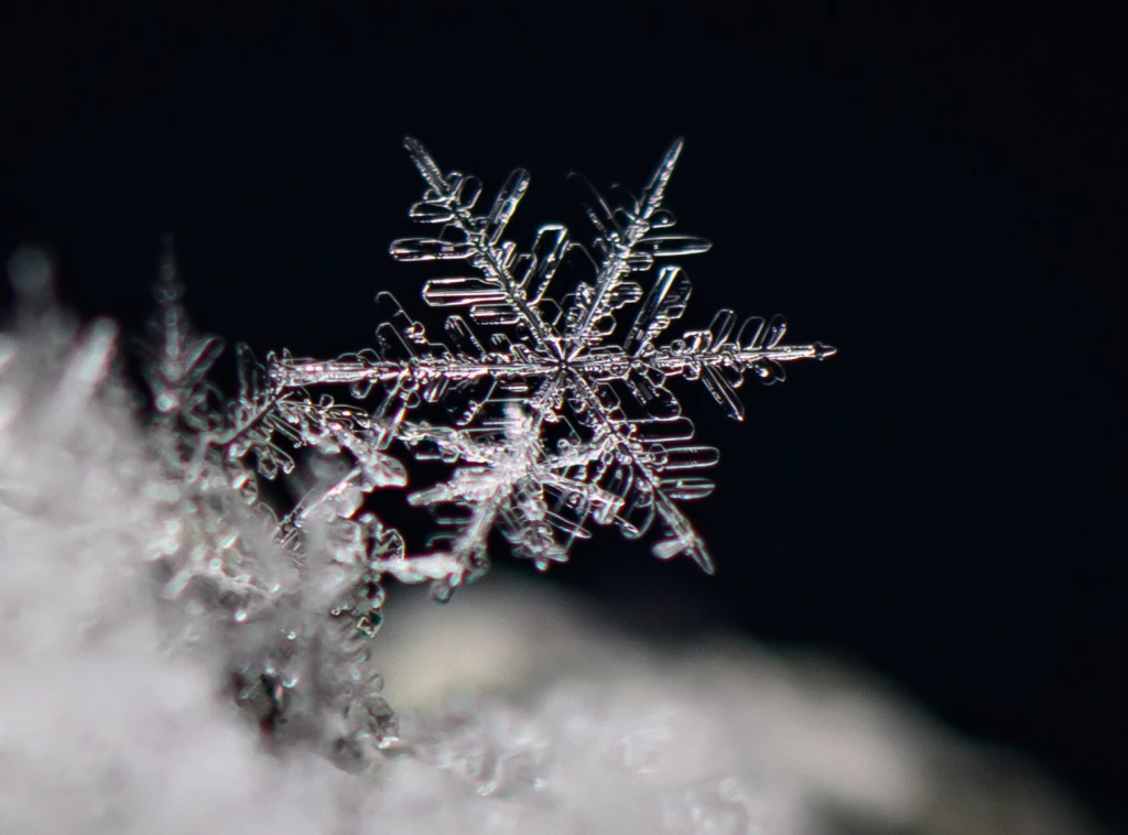 Foto: dpa via AP/Patrick Pleul