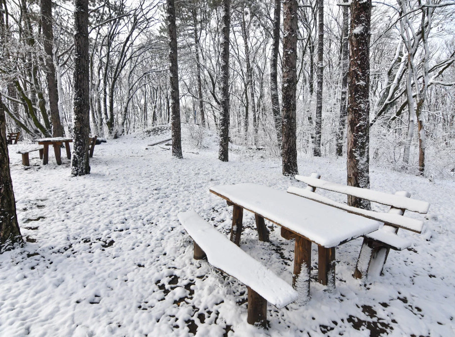 Foto: TANJUG/NENAD MIHAJLOVIĆ