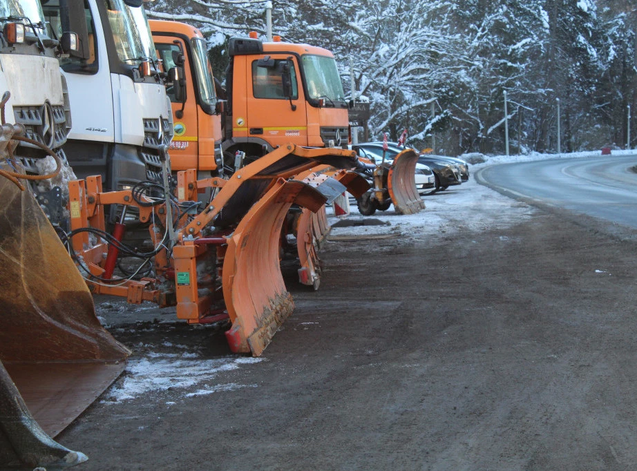 Foto: TANJUG/SAŠKA DROBNJAK