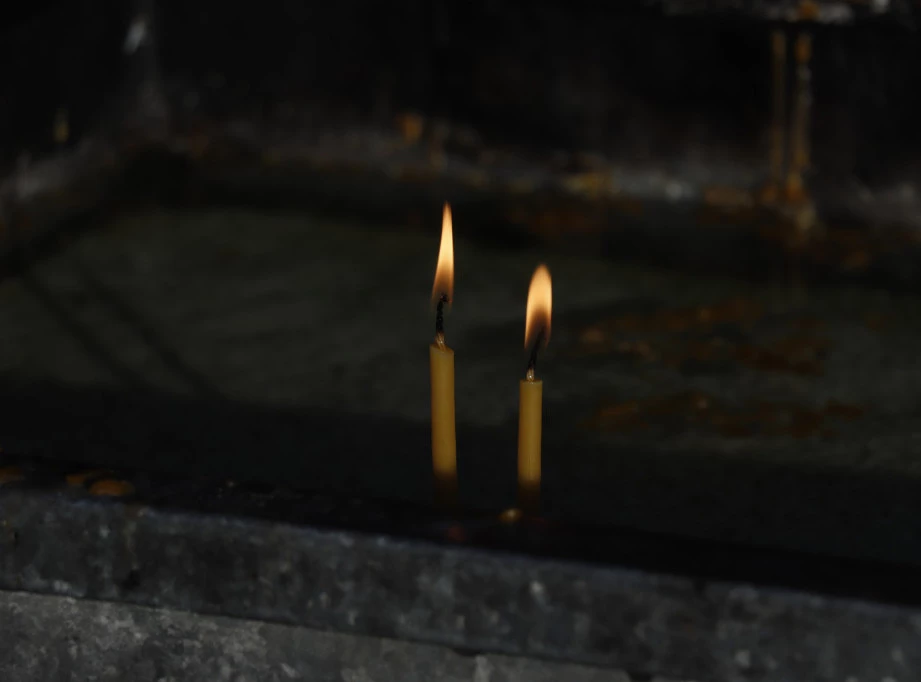 Foto: TANJUG/JOVANA KULAŠEVIĆ