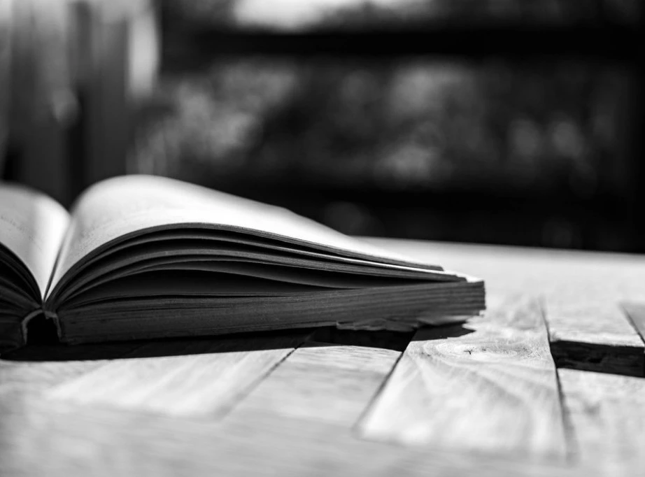 Foto: Shutterstock.com/Benedek Alpar, ilustracija