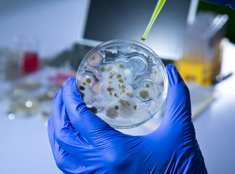 Više od 150 osoba na kruzeru koji je obilazio Karibe obolelo od norovirusa Foto: Shutterstock.com/CASTALDOstmudio.co/Ilustracija