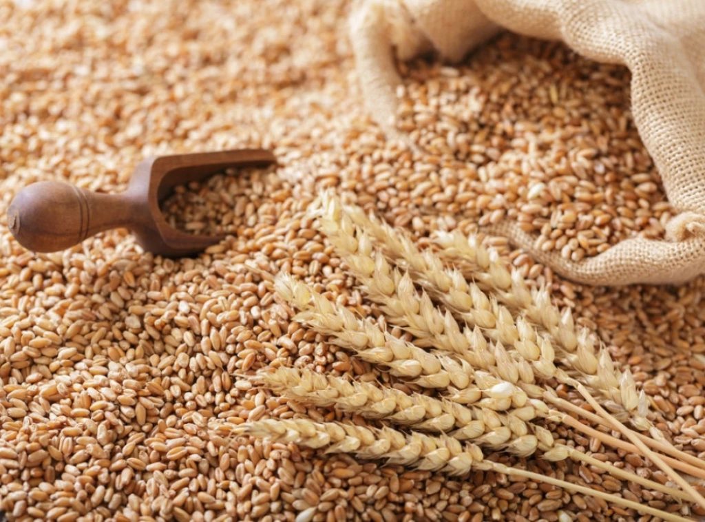 Foto: Shutterstock.com/Nitr, ilustracija