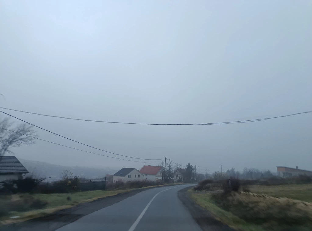 Foto: TANJUG/JELENA SAVIĆ