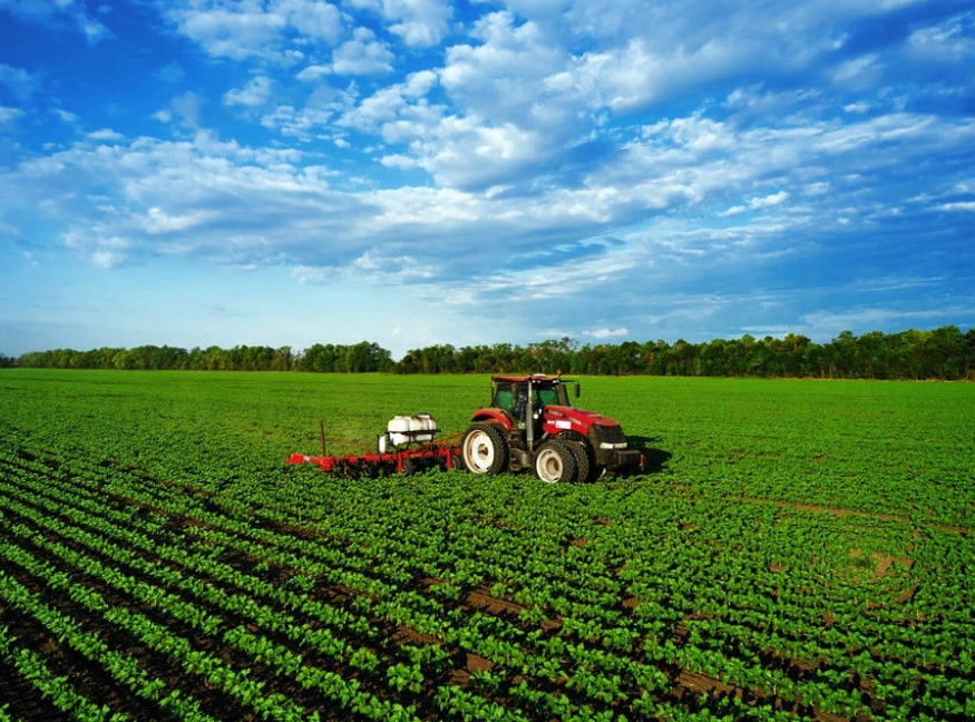 Foto: Shutterstock.com/Evgeniyqw, ilustracija