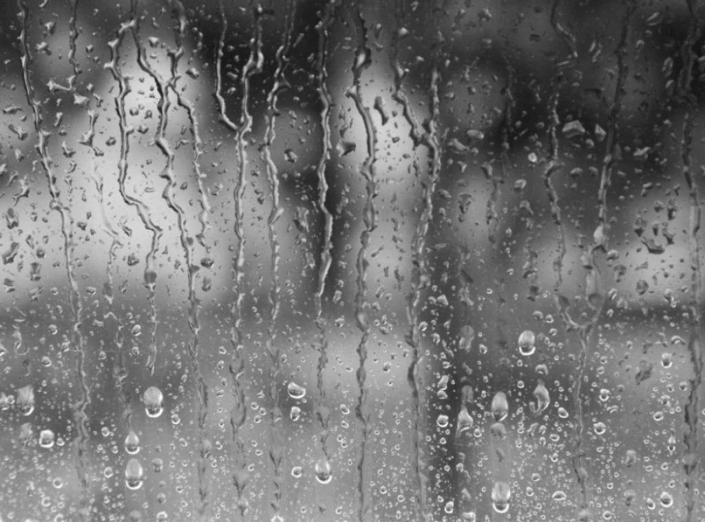 Foto: Shutterstock.com/Sonja de Jong, ilustracija