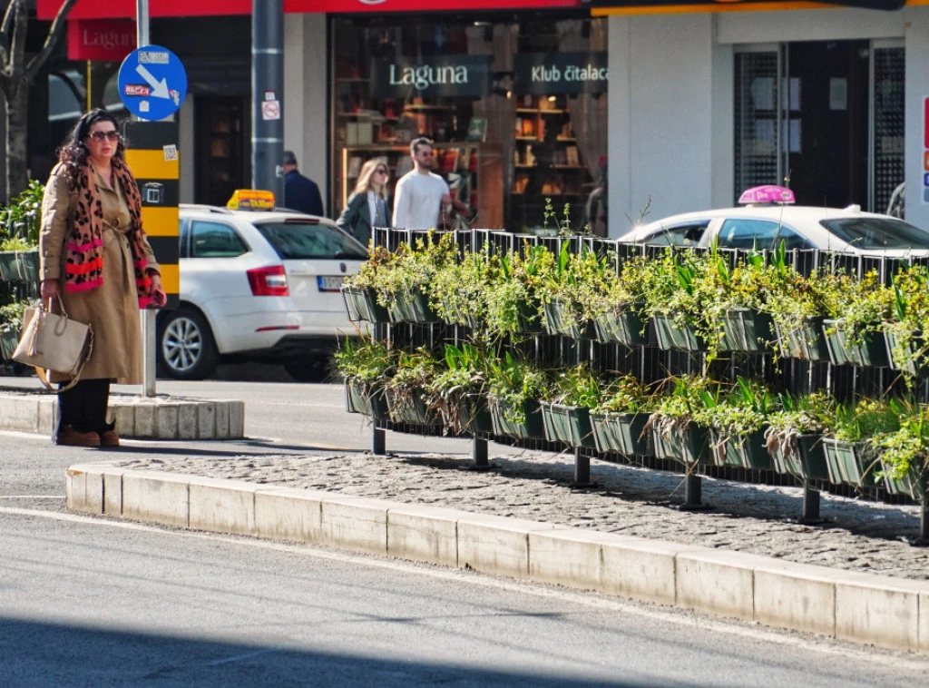 Nakon hladnog jutra, danas se očekuje pretežno sunčano i toplo vreme Foto: TANJUG/VLADIMIR ŠPORČIĆ