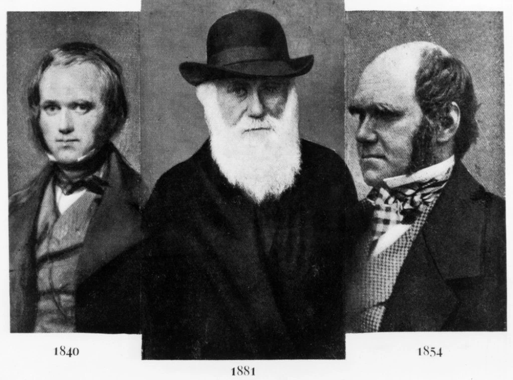 Foto: Shutterstock.com/Everett Collection, arhiva