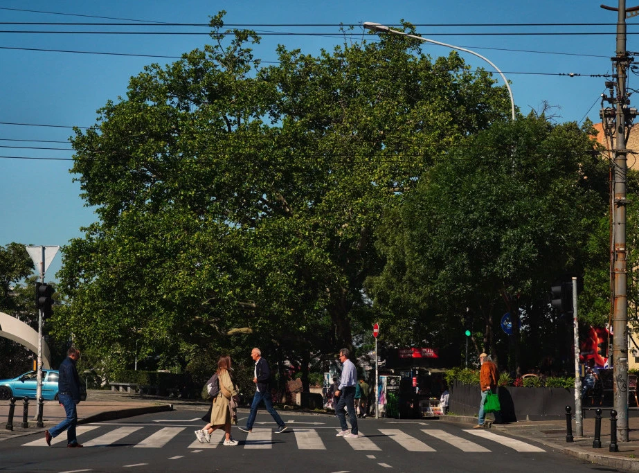 Foto: TANJUG/VLADIMIR ŠPORČIĆ