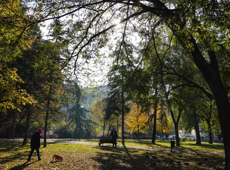 Foto: TANJUG/VLADIMIR ŠPORČIĆ
