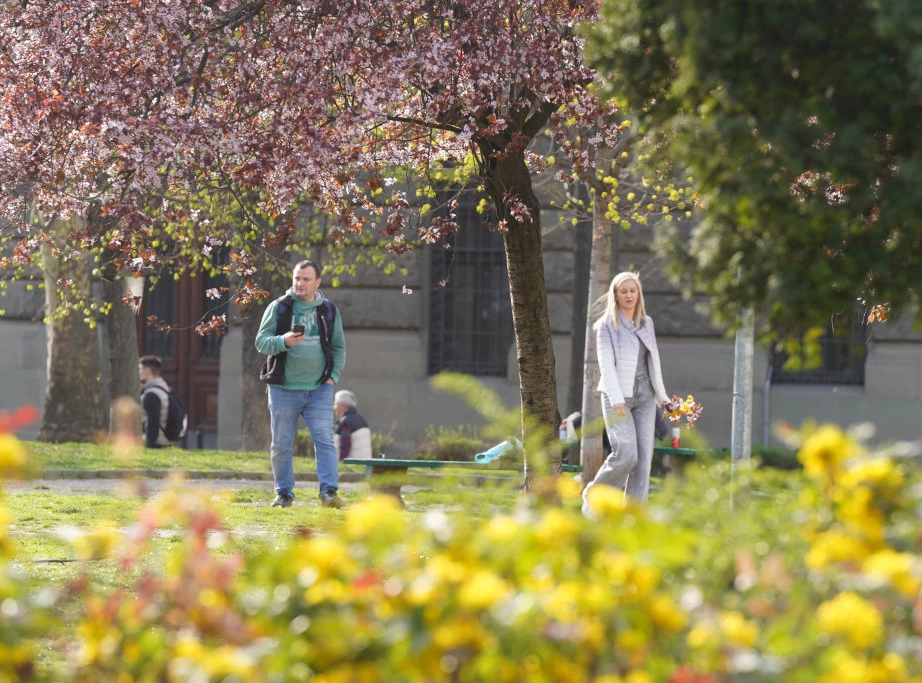 Foto: TANJUG/MILOŠ MILIVOJEVIĆ