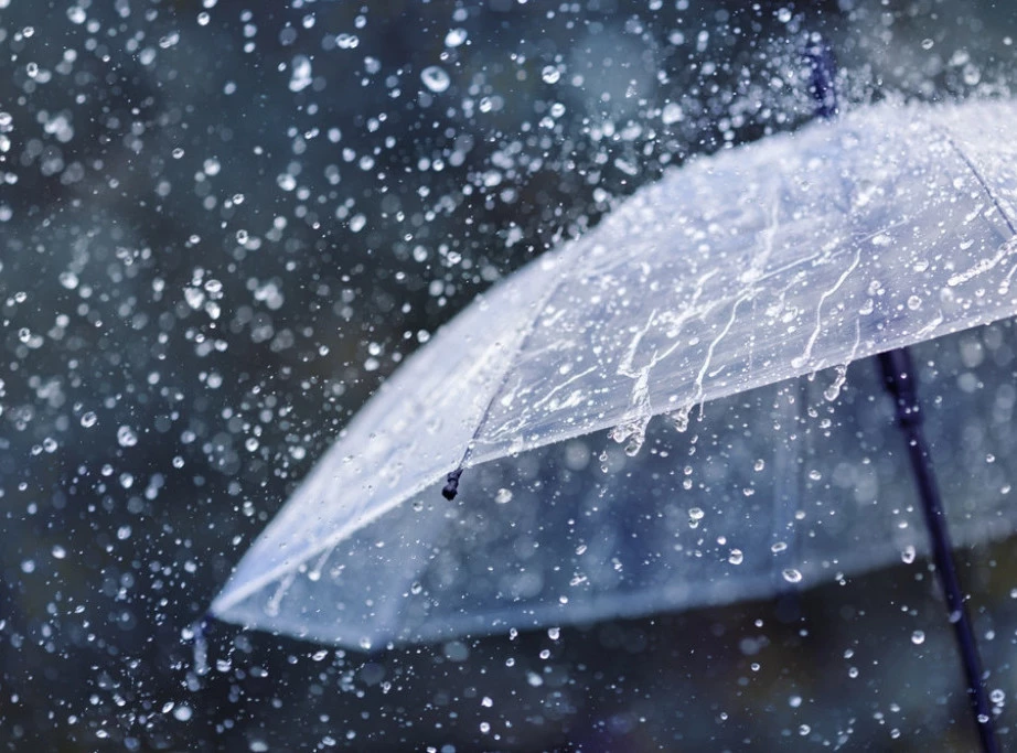 Foto: Shutterstock.com/Julia Sudnitskaya